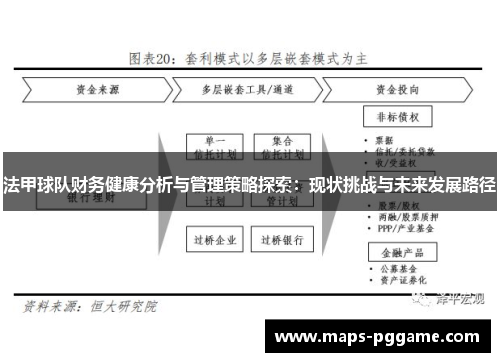 法甲球队财务健康分析与管理策略探索：现状挑战与未来发展路径