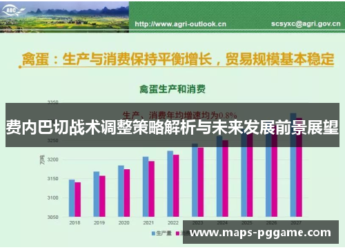 费内巴切战术调整策略解析与未来发展前景展望