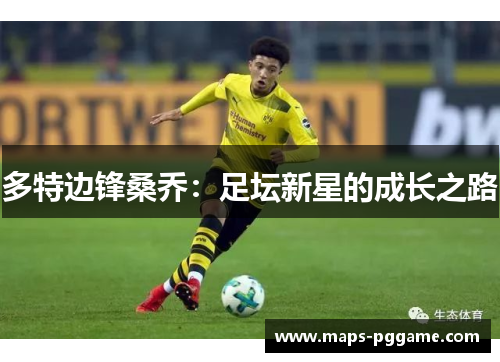 多特边锋桑乔：足坛新星的成长之路