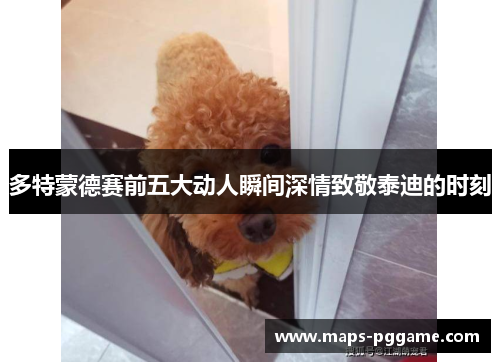 多特蒙德赛前五大动人瞬间深情致敬泰迪的时刻