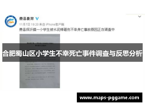合肥蜀山区小学生不幸死亡事件调查与反思分析